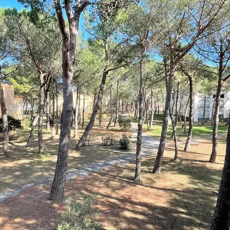 A 200m De La Plage, Animaux Admis, Proche Commerces - Fr-1-225-687 Argeles-sur-Mer